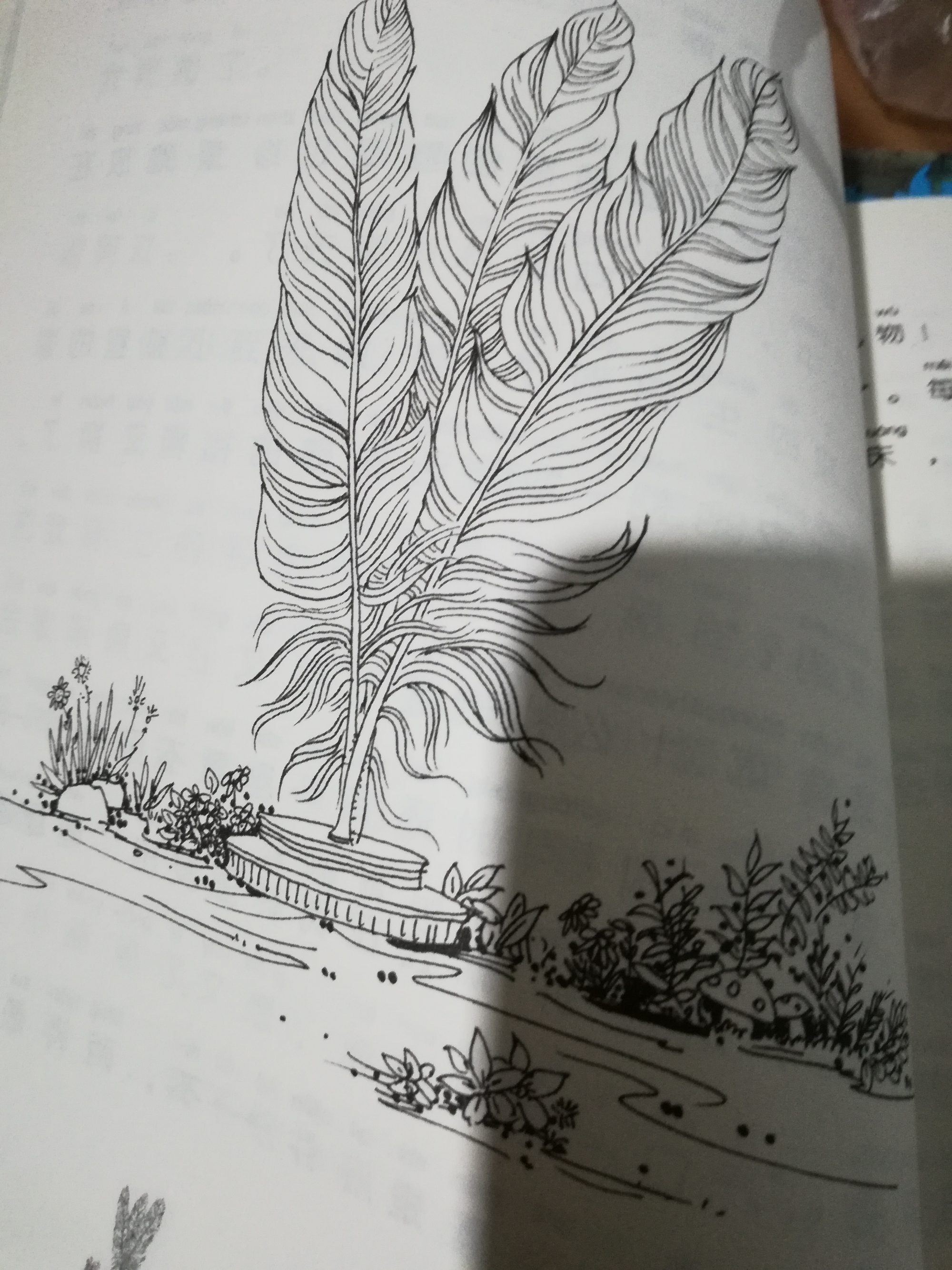 初中生300字日記_初中暑假日記300字_初中日記爬山300字