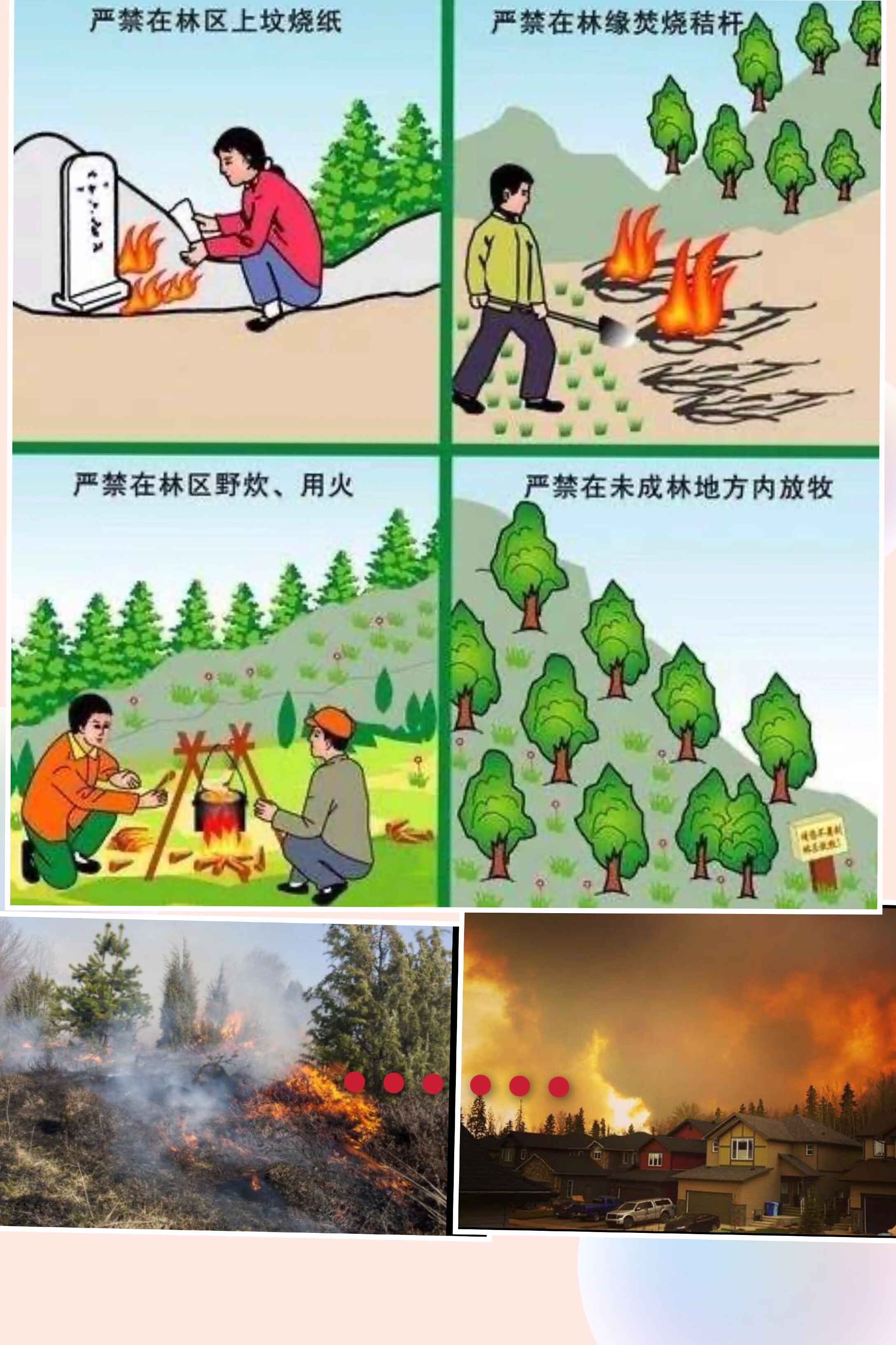森林秋季防火標語大全_森林 防火監控_森林草原防火技術