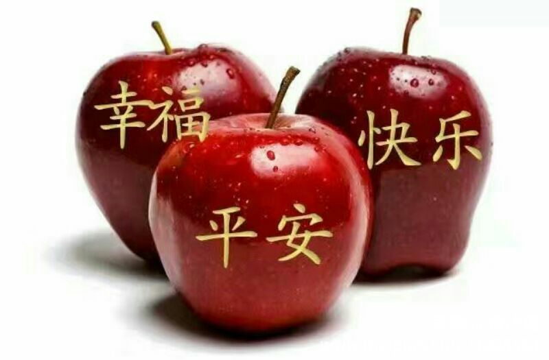平安喜樂是祝福語嗎_2014年平安夜的祝福短信_關于平安夜的祝福