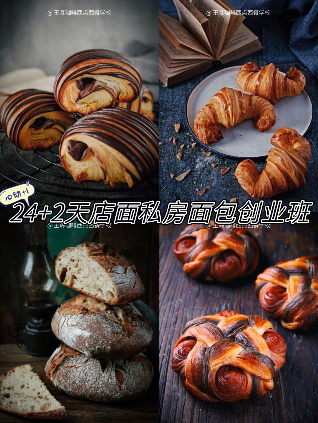 成都廚師培訓學校推薦_成都西餐廚師培訓_半永久培訓成都巨美學校