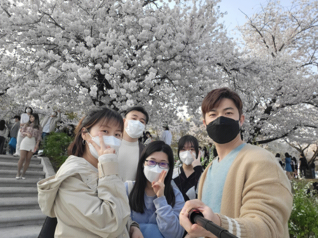 2023煙臺櫻花日語學校_煙臺櫻花日語怎么樣_煙臺日語哪家學校不錯