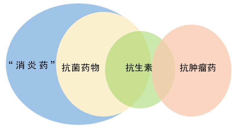 中國藥科大學網站_中國計量大學就業質量_中國藥科大學就業網
