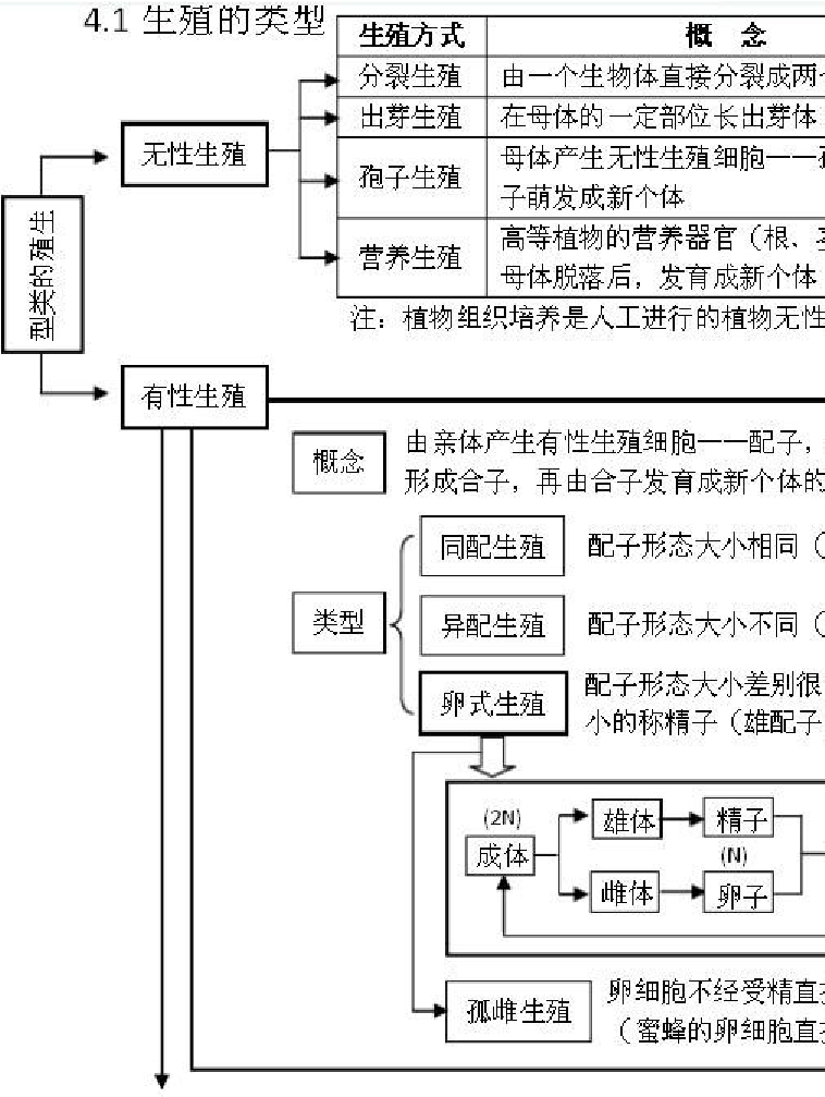 學車學自動擋好還是手動擋好_學web好還是學java好_怎樣學好高中生物