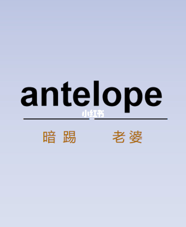 英文老婆親愛怎么說_親愛的老婆英文_老婆親愛的英文