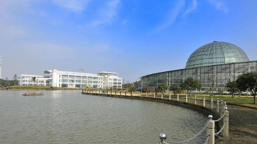 北京林業大學研究生2022_北京林業大學考研官網_2023北京林業大學研招網