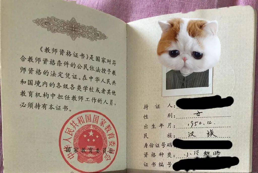 教師資格證書編號查詢官網_2023教師資格證書編號_老師資格證編號查詢