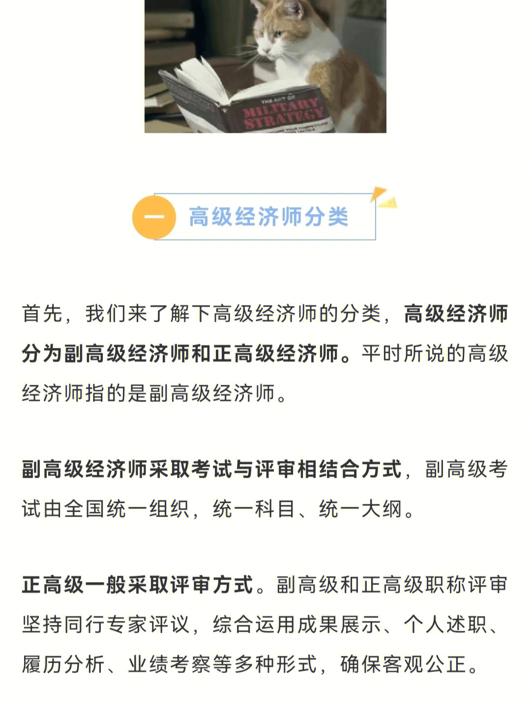今年經濟師報名_20201年經濟師報名_2024年怎么報考經濟師