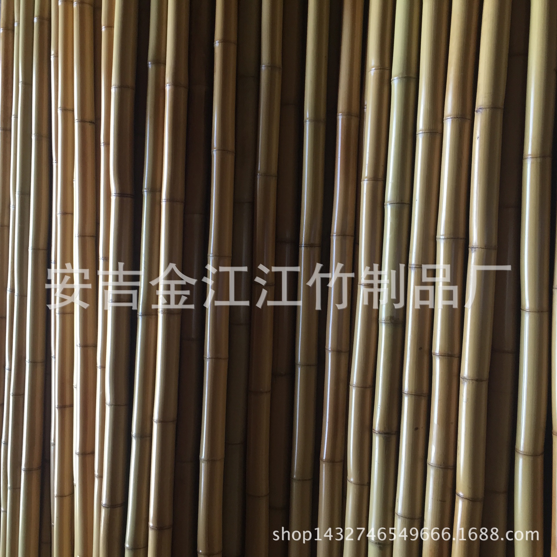 竹子作文600字_關于竹子的作文_竹子作文300字