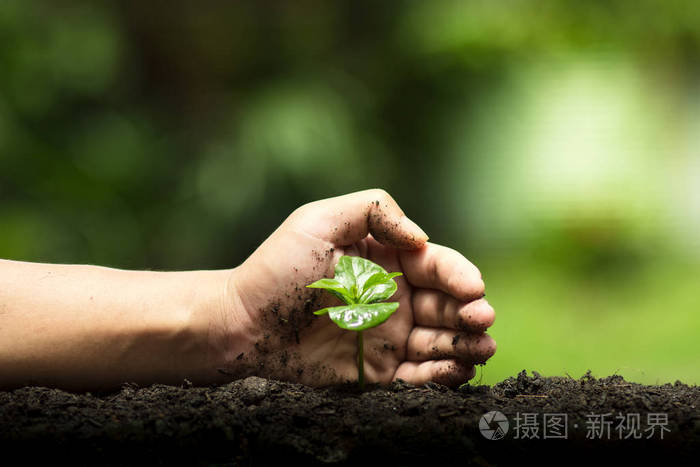 我保護了動物作文_保護珍惜動物_保護動物的作文