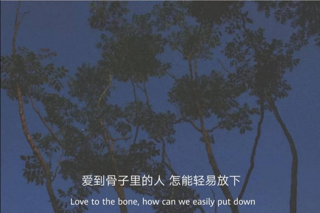 傷感句子2023最新_2023傷感句子_傷感句子2020最新