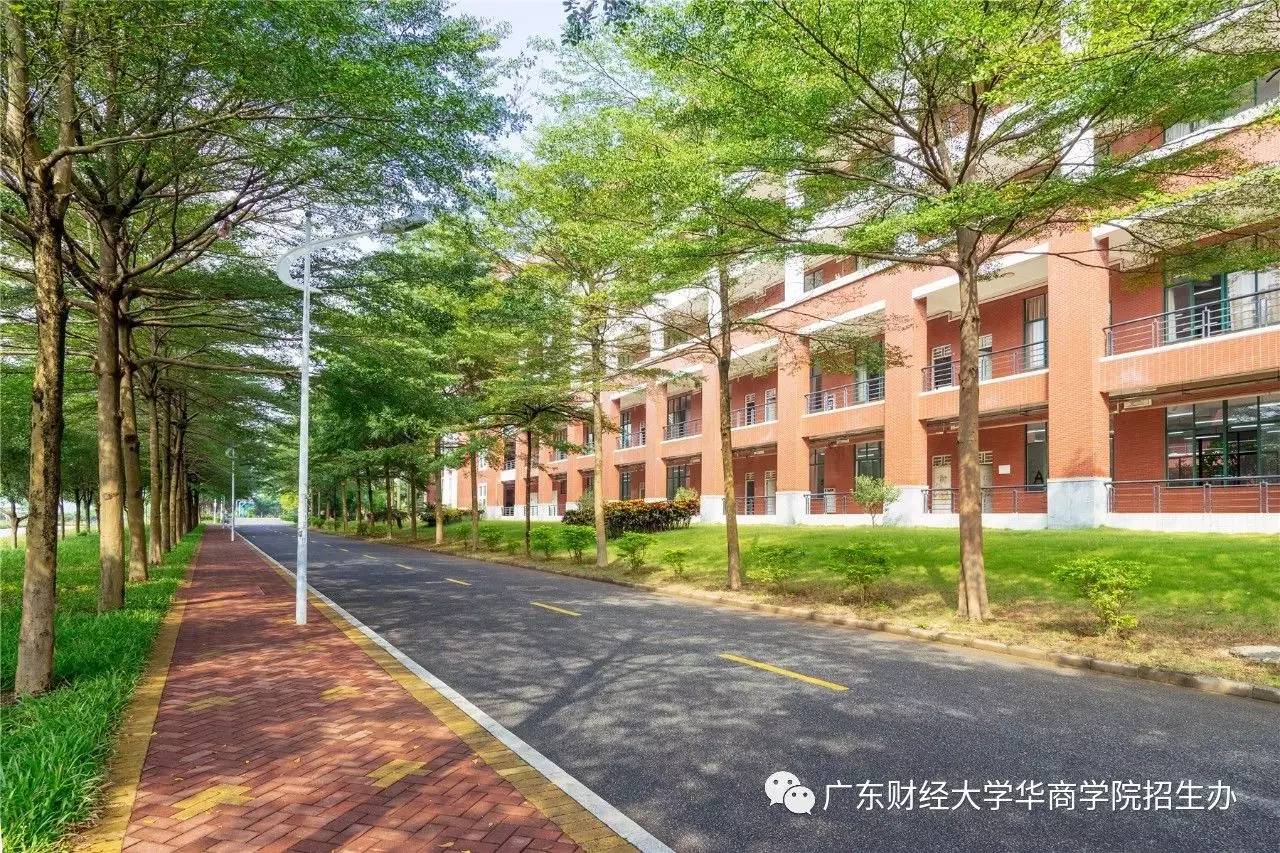 廣東財經大學華商學院教務系統_廣東財經大學華商學院怎么樣_廣東財經大學華商學院官網