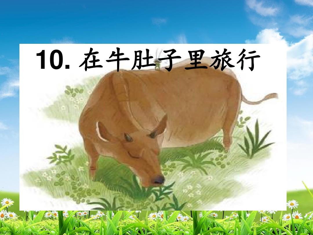 牛肚子里旅行教學反思_牛肚子旅行板書_牛肚子里旅行的課后反思