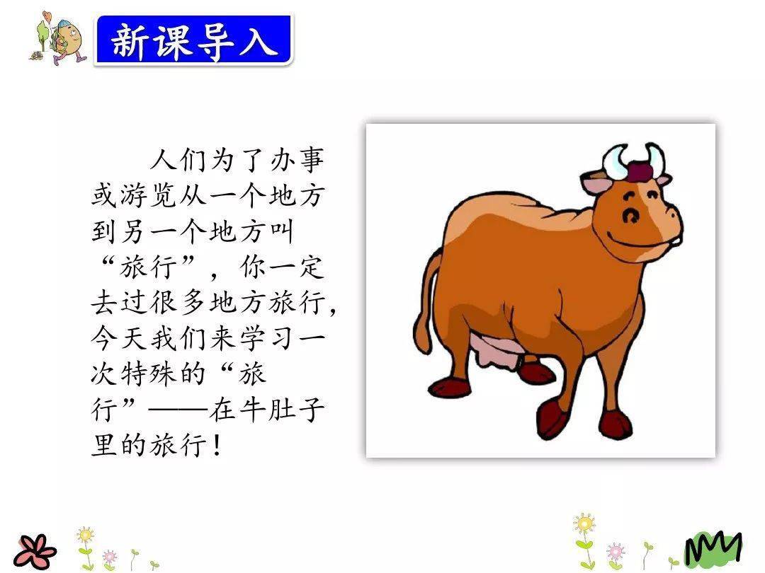 牛肚子旅行板書_牛肚子里旅行的課后反思_牛肚子里旅行教學反思