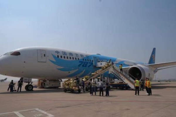 航空公司英文全稱_各大航空公司英文_航空公司英文