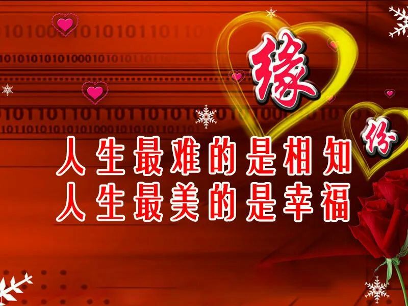 相逢何必曾相識什么意思_相識相逢意思是什么_相識相逢意思和造句