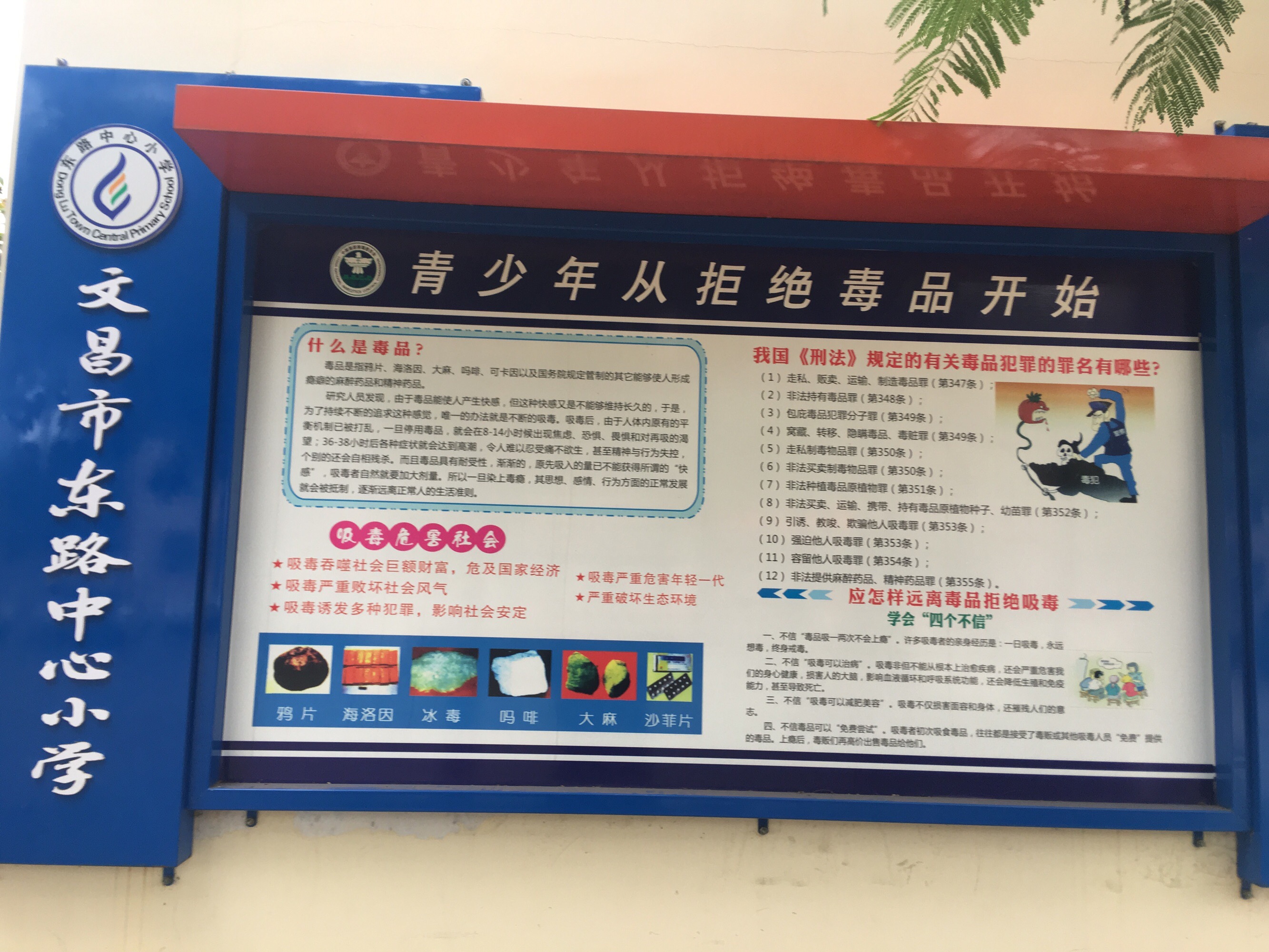 禁毒作文600字_禁毒作文字數500字左右_禁毒作文400字