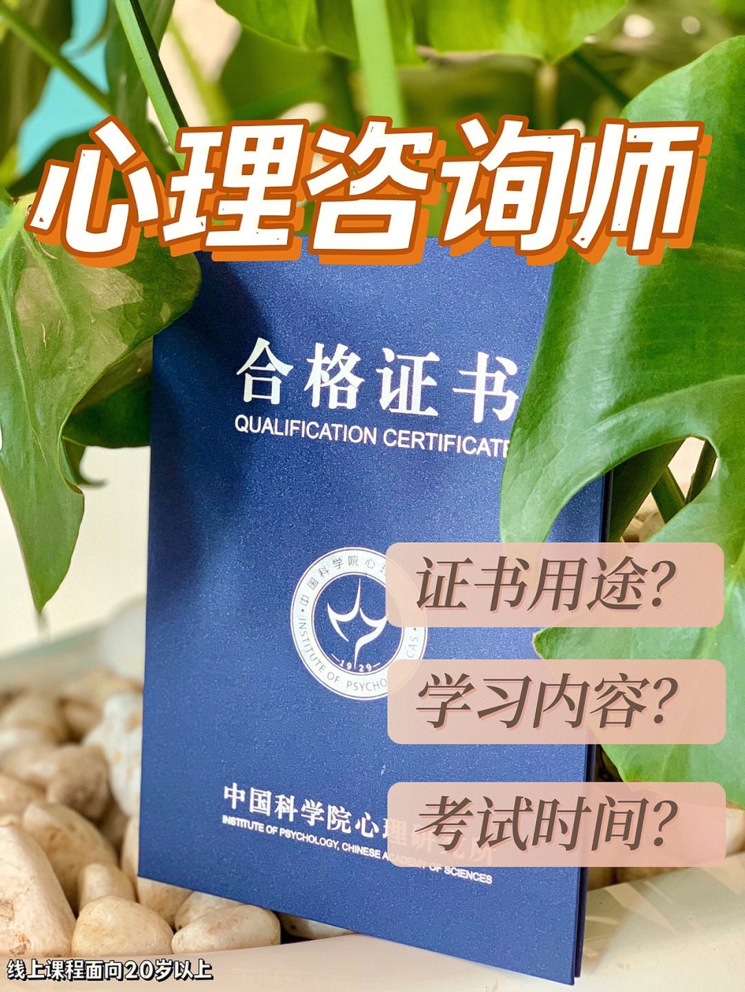 成都心理咨詢師考試時間_成都心理咨詢師考試報名條件_2024年成都心理咨詢師二級