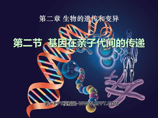 吉林大學生命科學學院_吉林大學生命科學學院貼吧_吉林大學生命科學技術學院官網