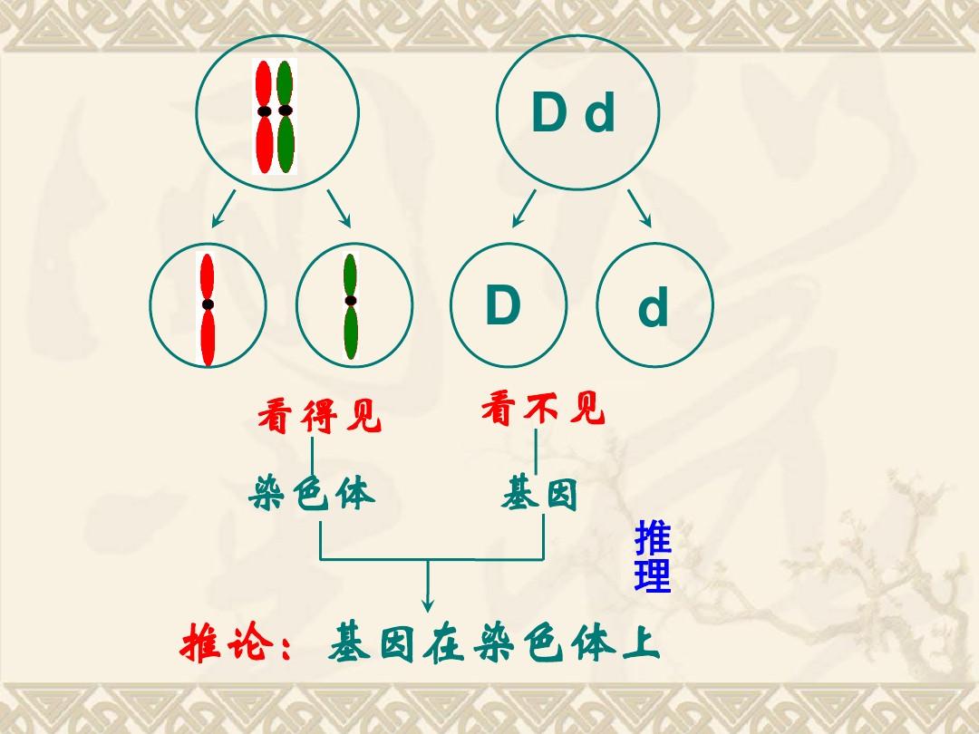 吉林大學生命科學學院貼吧_吉林大學生命科學技術學院官網_吉林大學生命科學學院