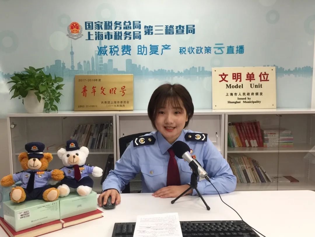 北京電子稅務局操作指南_北京電子稅務局移動端app_北京電子稅務局