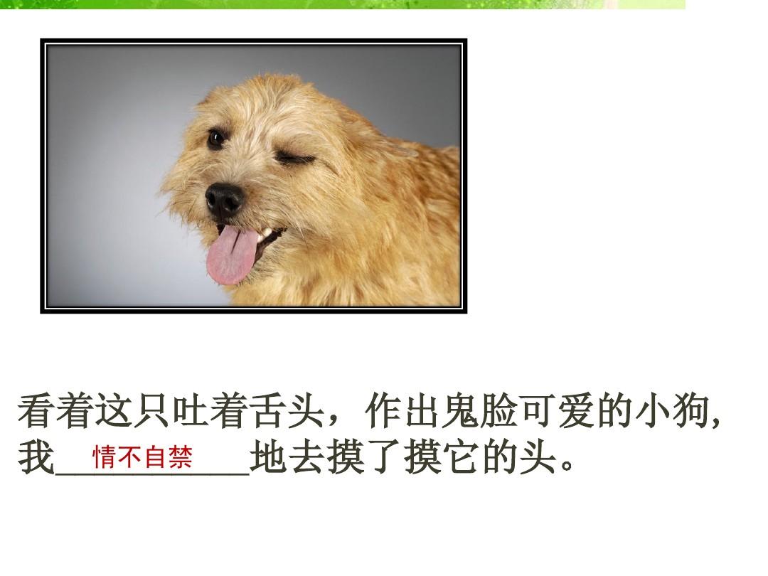 聲名狼藉的意思_聲名狼藉的意思是_聲名狼藉是什么詞