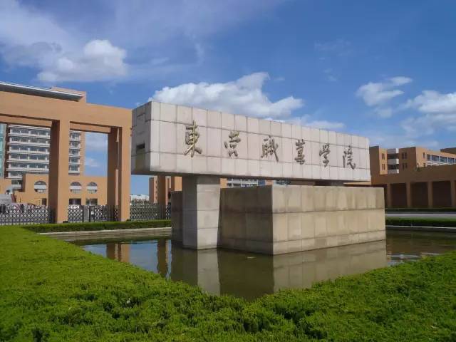 山東學(xué)院怎么樣_山東最好的職業(yè)學(xué)院_山東學(xué)院有哪些專科