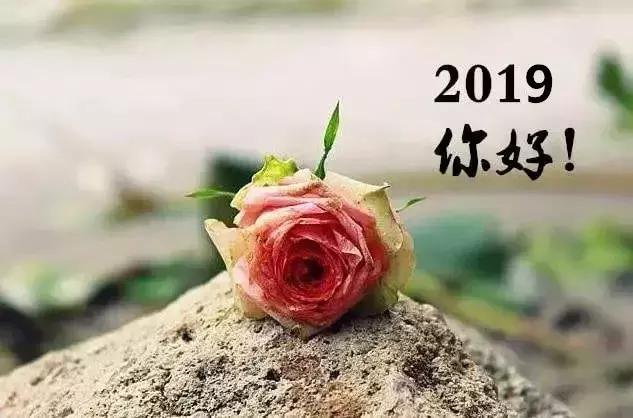 關于八月的唯美句子_唯美八月句子簡短_唯美八月句子大全