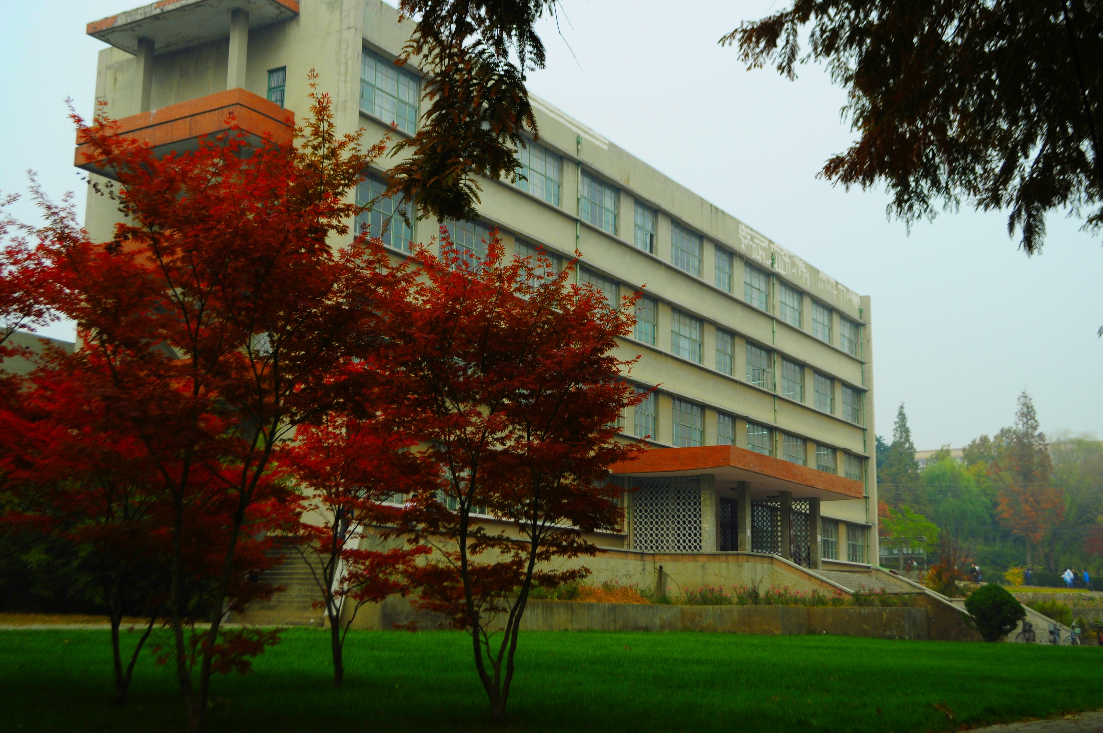 青島農業大學是幾本_青島農業大學在哪_青島農業大學海都學院