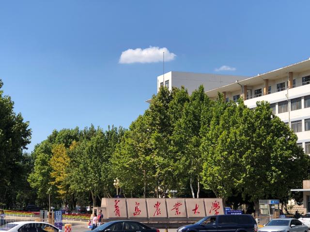 青島農業大學是幾本_青島農業大學在哪_青島農業大學海都學院