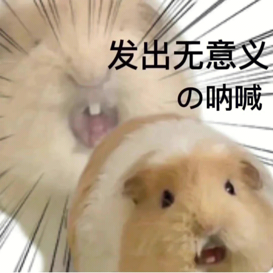 《冬兒姑娘》_冬兒姑娘好句_冬兒姑娘精彩句段