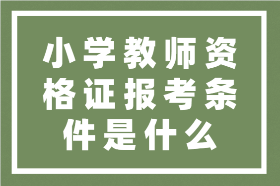 2021上班年教師資格證報名_2120年教師資格證報名_2024年教師資格證報名