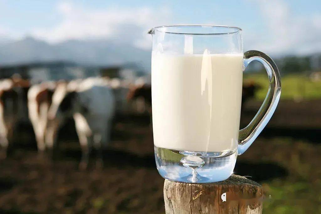 科學冷門食品工程專業_科學冷門食品工程就業前景_食品科學與工程冷門嗎