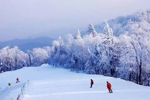 哈爾濱冰雪大世界_哈爾濱冰雪大世界航拍視頻_20年哈爾濱冰雪大世界