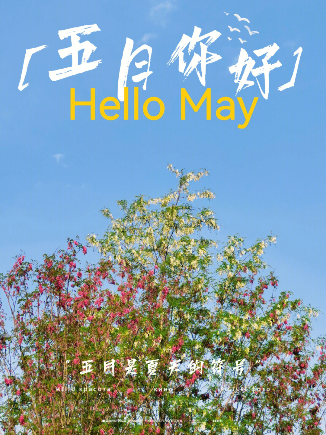每個月最后一天_每個月的最后一天和第一天_七月最后一天