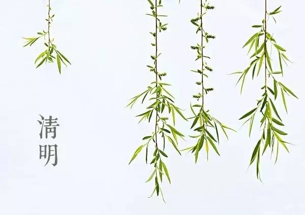 清明寄托哀思的句子_清明節寄托哀思的語句_寄托清明節哀思的句子