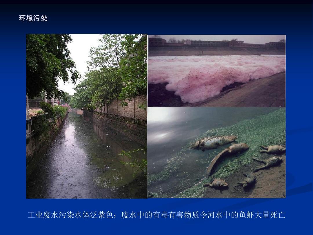 保護環境問題分類_保護環境問題有哪些_環境保護問題