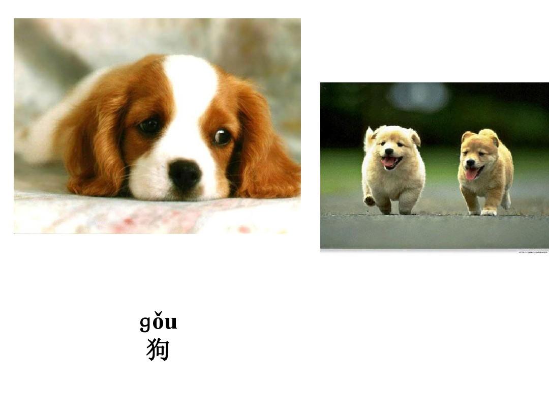 拼音玩法_玩意兒的拼音_漢語(yǔ)拼音兒歌玩具
