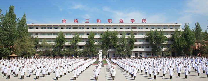 寶雞招生網_寶雞招生辦官網_寶雞招生平臺