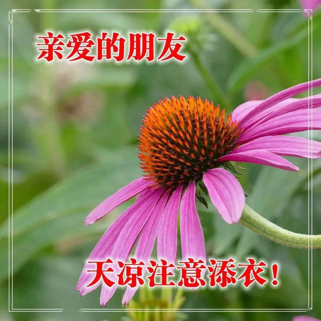 建軍節(jié)祝福語(yǔ)言_建軍節(jié)祝福語(yǔ)_2021年建軍節(jié)的祝福語(yǔ)