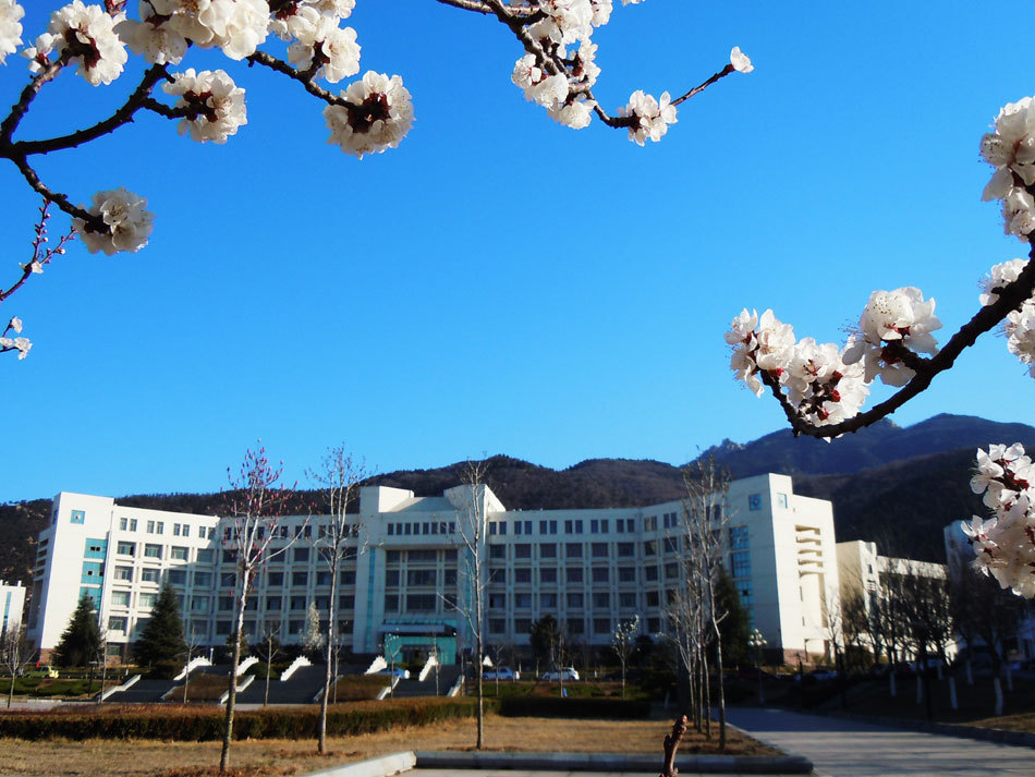 泰山學院職業技術學院地址_泰山職業技術學院_泰山學院職業技術學院官網