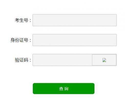 山東招生考試院錄取結(jié)果查詢_山東省招生辦錄取查詢_山東省教育招生考試院錄取查詢