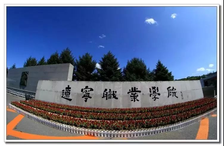 遼寧現代職業服務技術學院學費_遼寧服務現代職業技術學院專業_遼寧現代服務職業技術學院