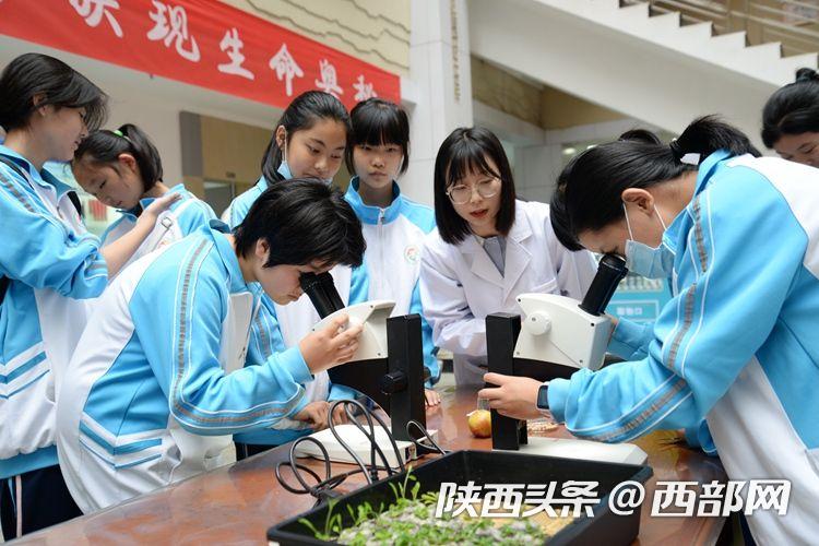 蘇職大蘇州學院_蘇州健雄職業(yè)技術學院_蘇州職業(yè)大學更名蘇州學院