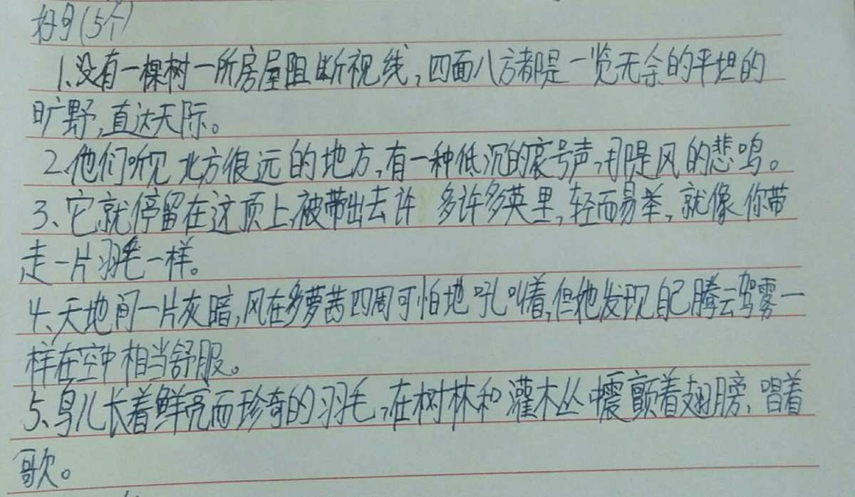 綠野仙蹤好詞好句_《綠野仙蹤》好句_好詞好句綠野仙蹤