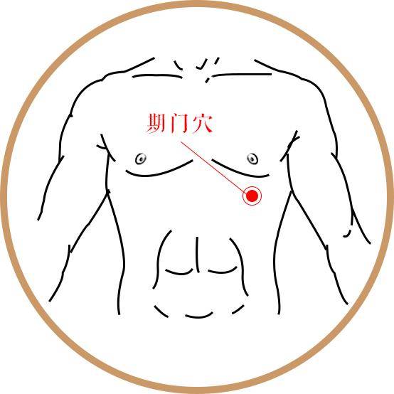 五臟六腑的拼音怎么讀音_五臟六腑拼音怎么拼寫_五臟六腑的拼音