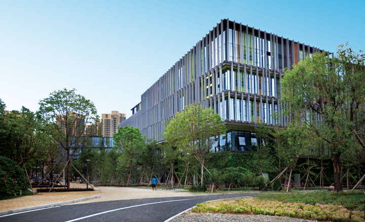 國際商務專業學什么_商務國際學專業就業前景_商務國際學專業學什么