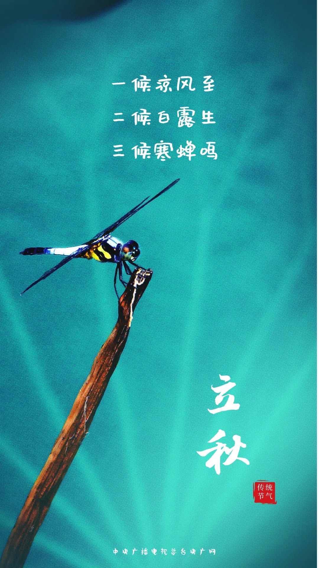 小暑是入伏第一天么_小暑入伏_小暑是初伏入伏第一天嗎