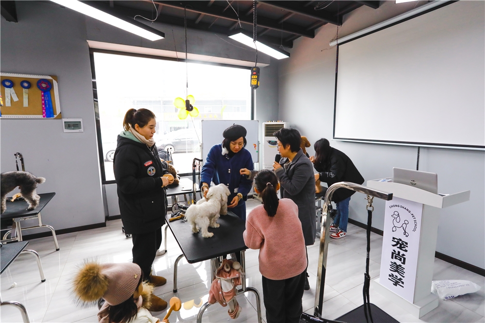 北京若雯寵物美容學校_寵物美容師學校北京_北京寵物美容學校培訓價格表