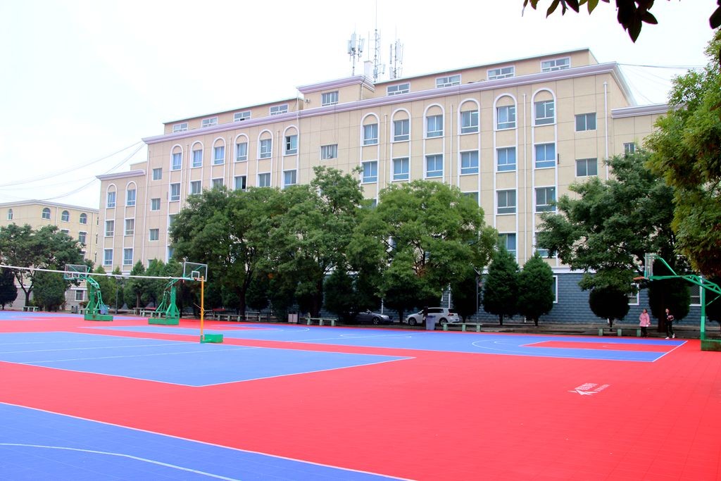 山東科技職業(yè)學(xué)院_山東科技學(xué)院職業(yè)學(xué)院在哪_山東科技職業(yè)學(xué)院院系