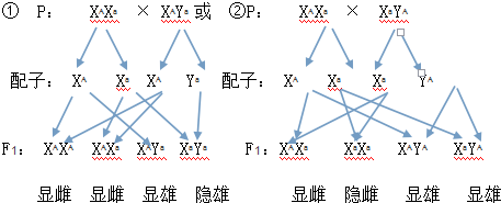諾貝爾醫學獎2023_諾貝爾醫學獎_諾貝爾醫學獎的歷屆得主